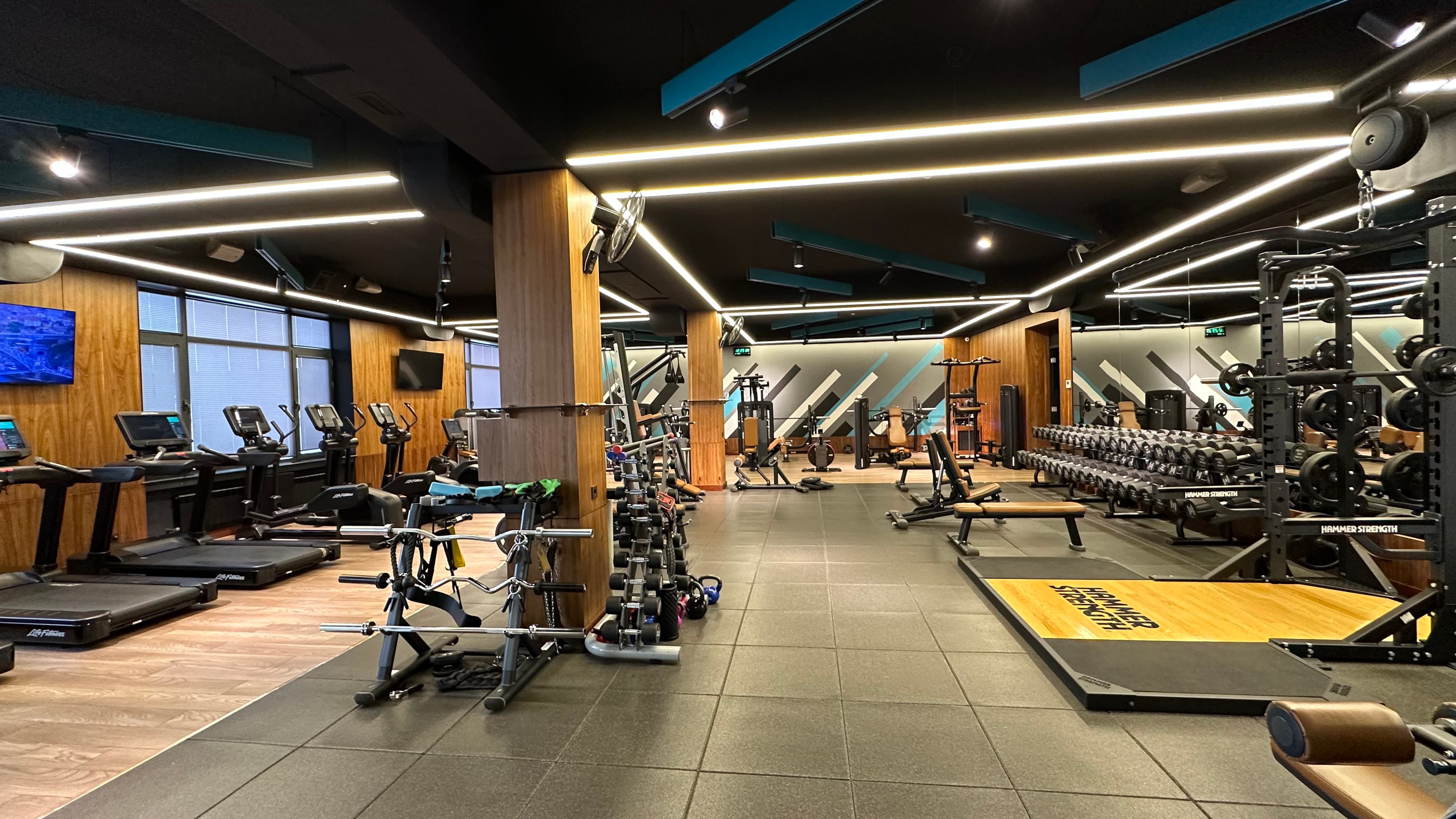 GYM (Life Fitness. Hammer strength)